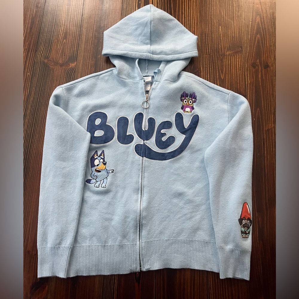 Kids Bluey Hoodie - Light Blue